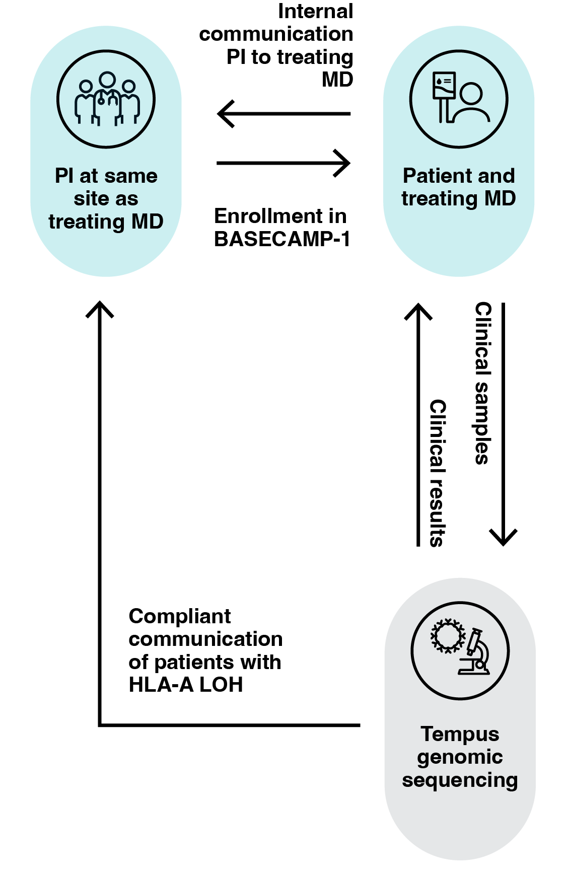 Tempus Clinical Workflow Diagram